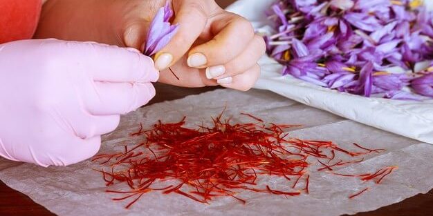 زعفران تقلبی و اصل