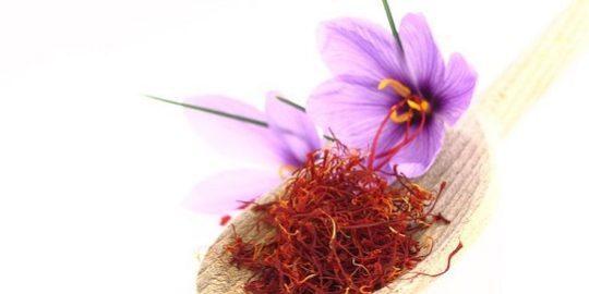 نقش زعفران در زندگی روز مره ایرانیان
