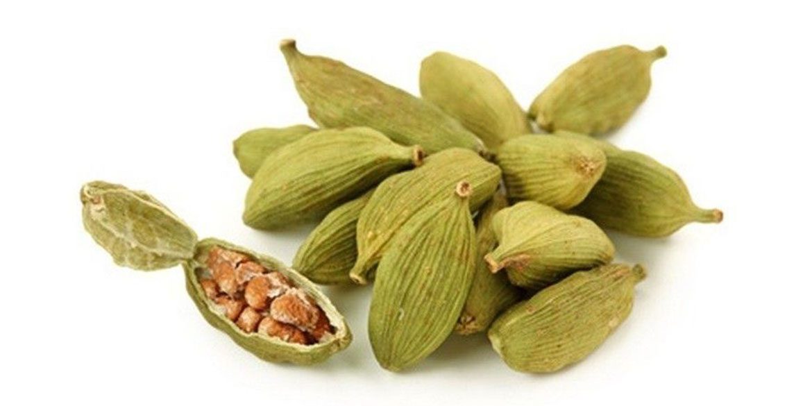 آشنایی با گیاه هل و نحوه کاشت آن